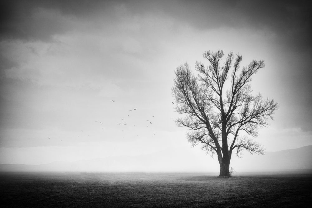 Photograph by Goran Grudic