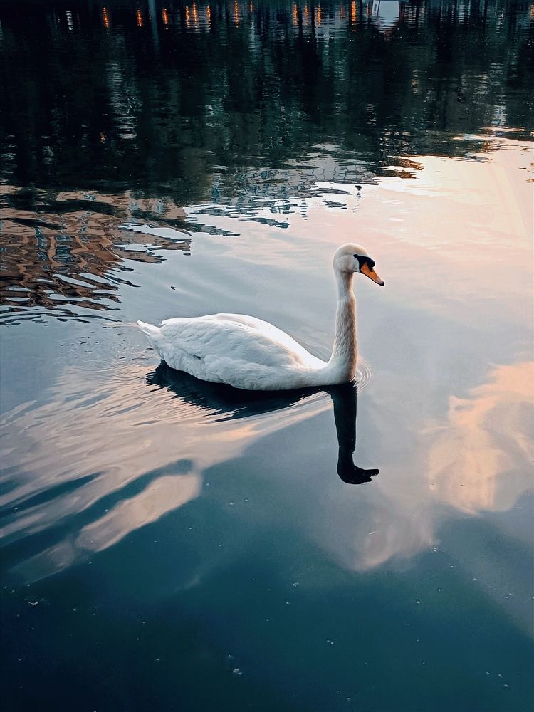 Photograph by Марина Хохрякова