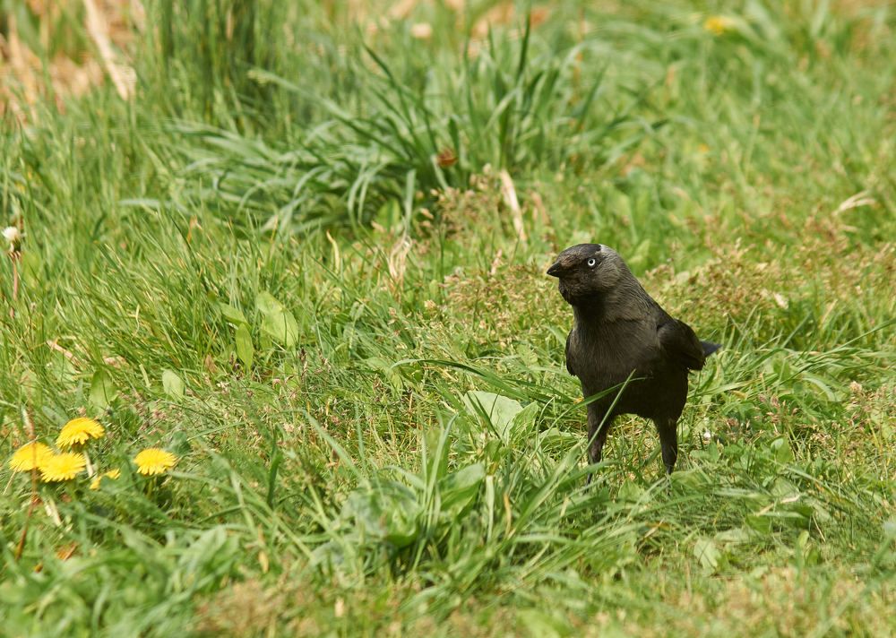 Photograph by Дмитрий Соколов