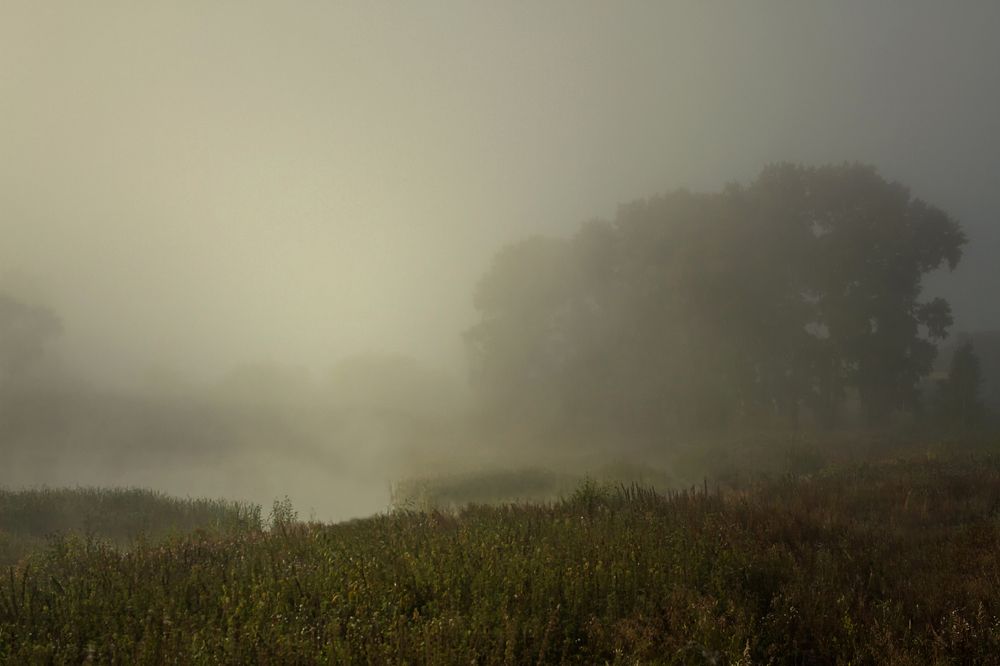 Фотография автора Andrey Pristyazhnyuk