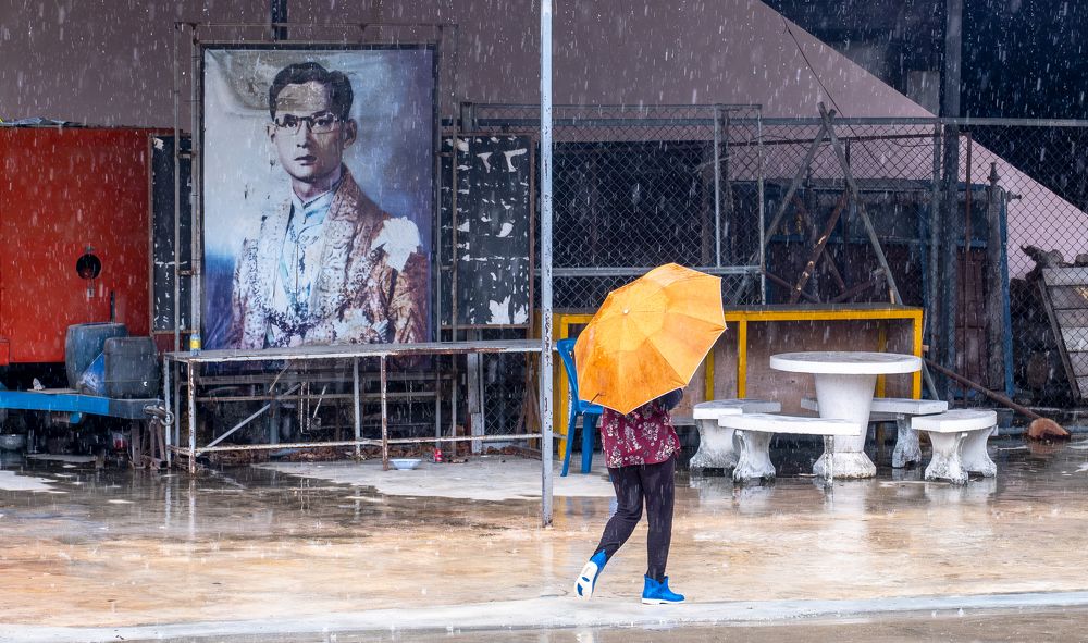 Photograph by Stevie