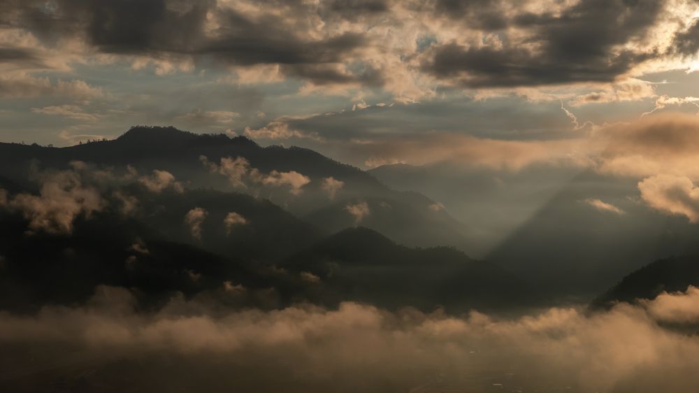 Photograph by Stevie