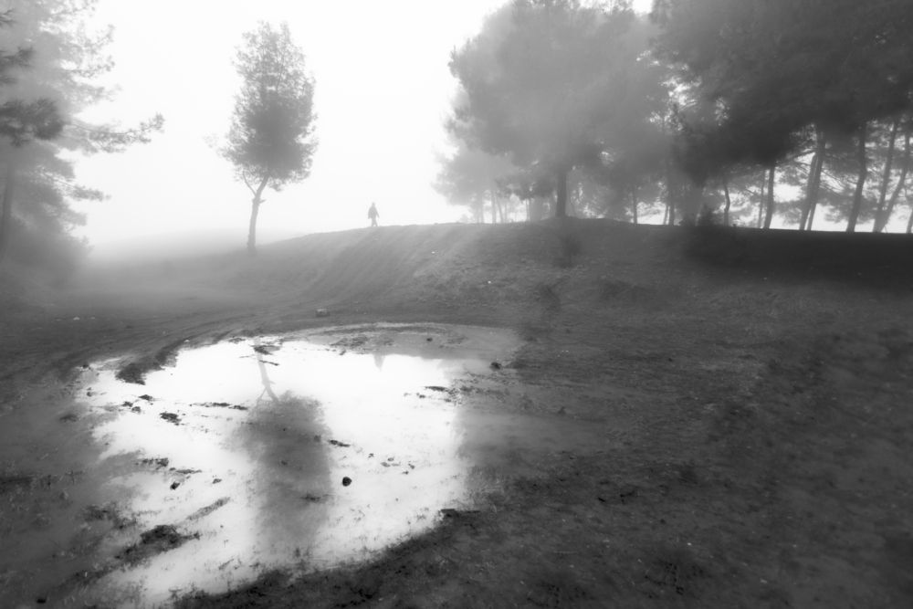 Photograph by Bahir DIBEKOGLU