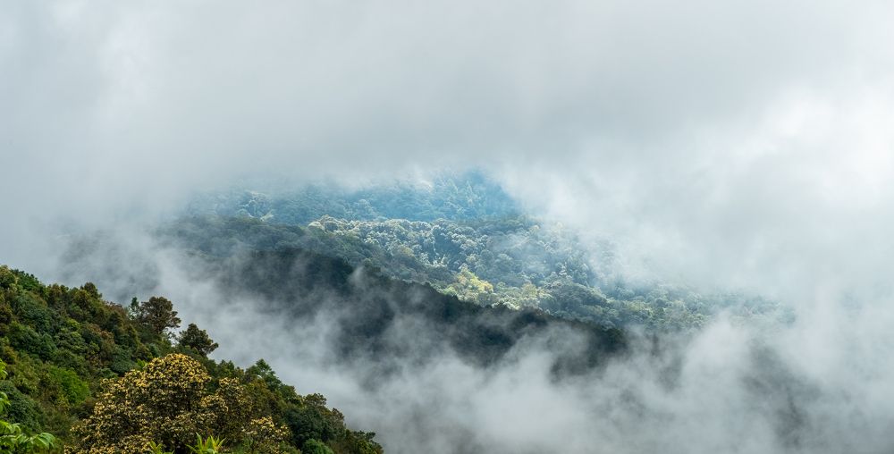 Photograph by Stevie