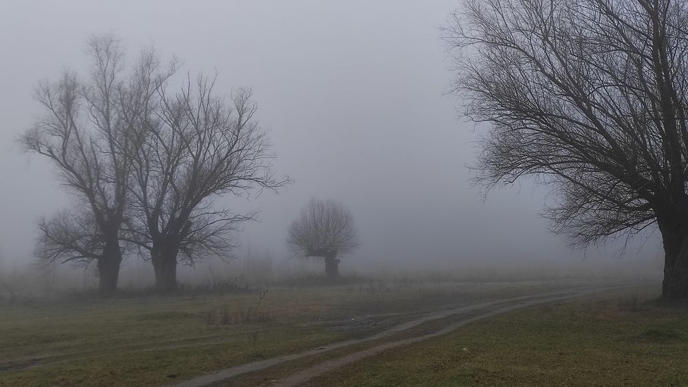 Photograph by Lidija Jevremovic