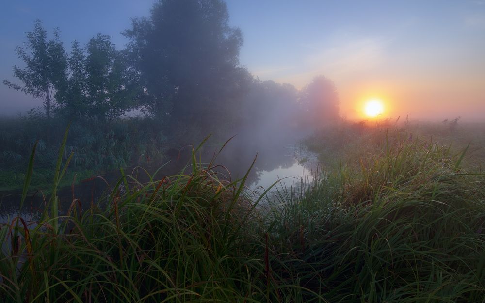 Photograph by Виктор Тулбанов