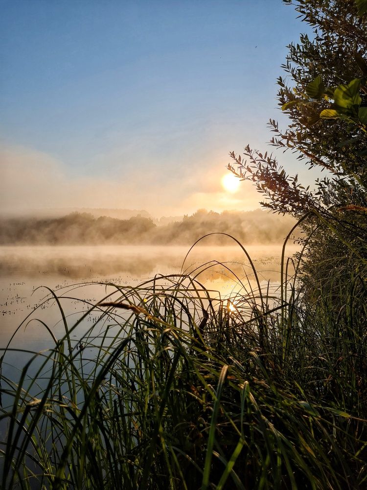 Photograph by Мария Шамина