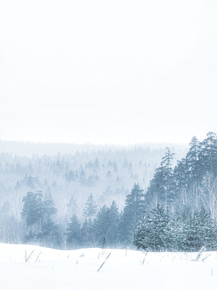 Photograph by Konstantin Martynov