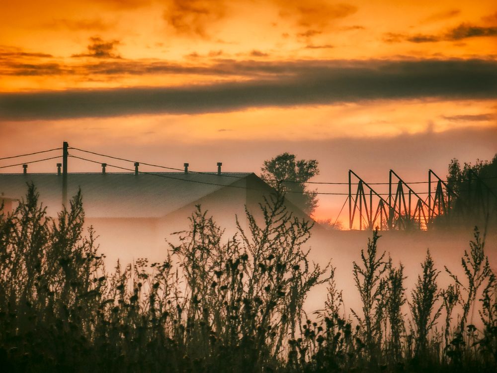 Photograph by Konstantin Martynov