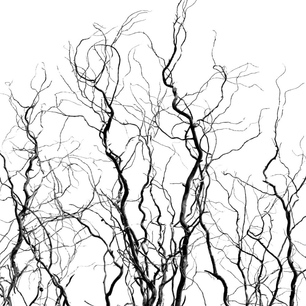 Photograph by Александр Фокин