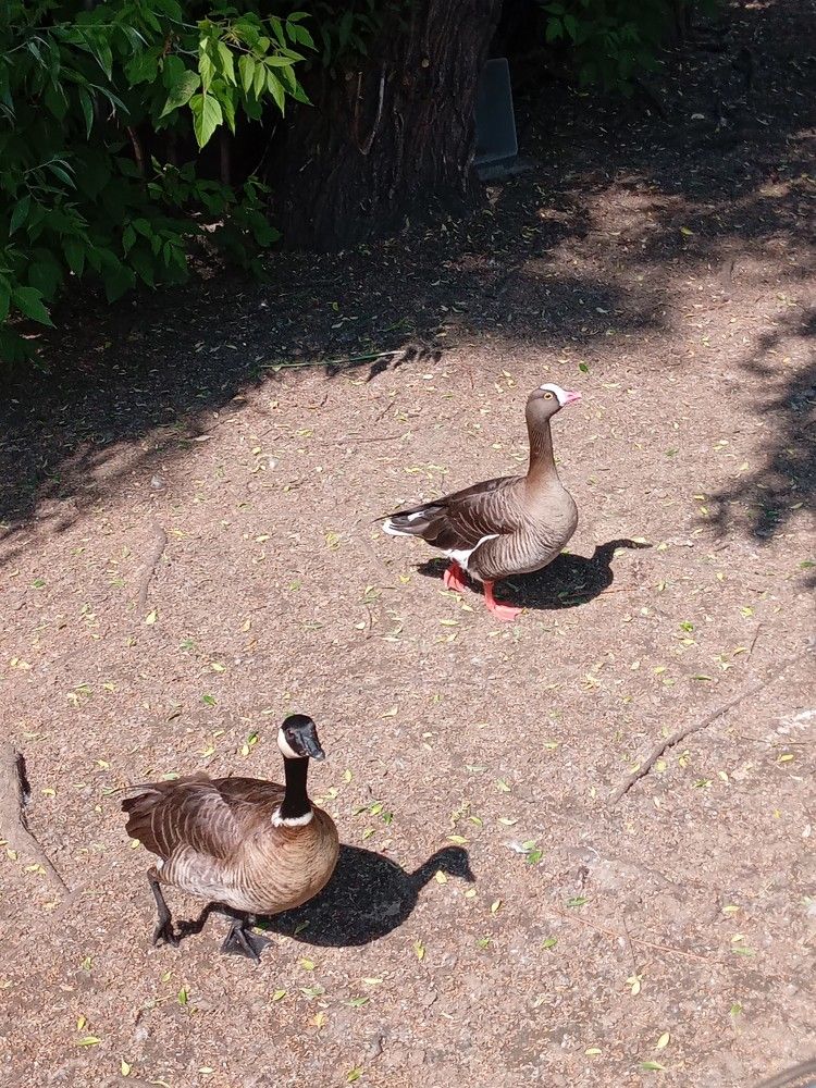 Photo #9163232