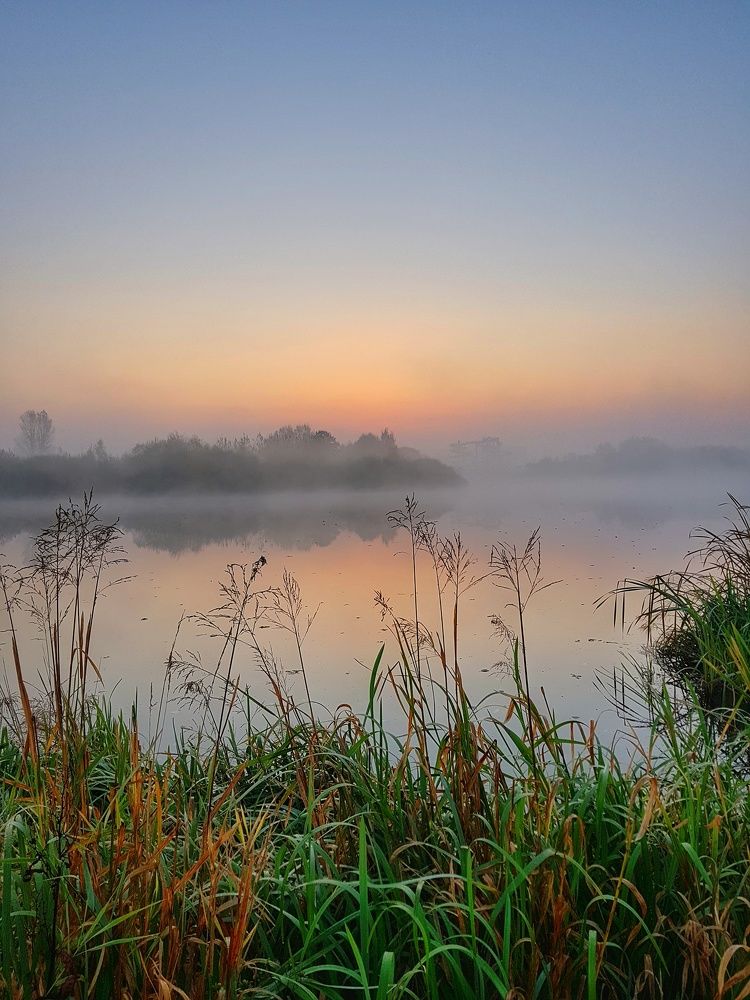 Photograph by Владимир Шаруба