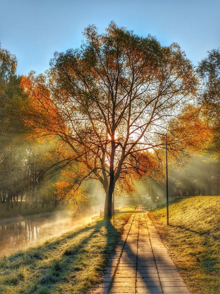 Photograph by Владимир Шаруба