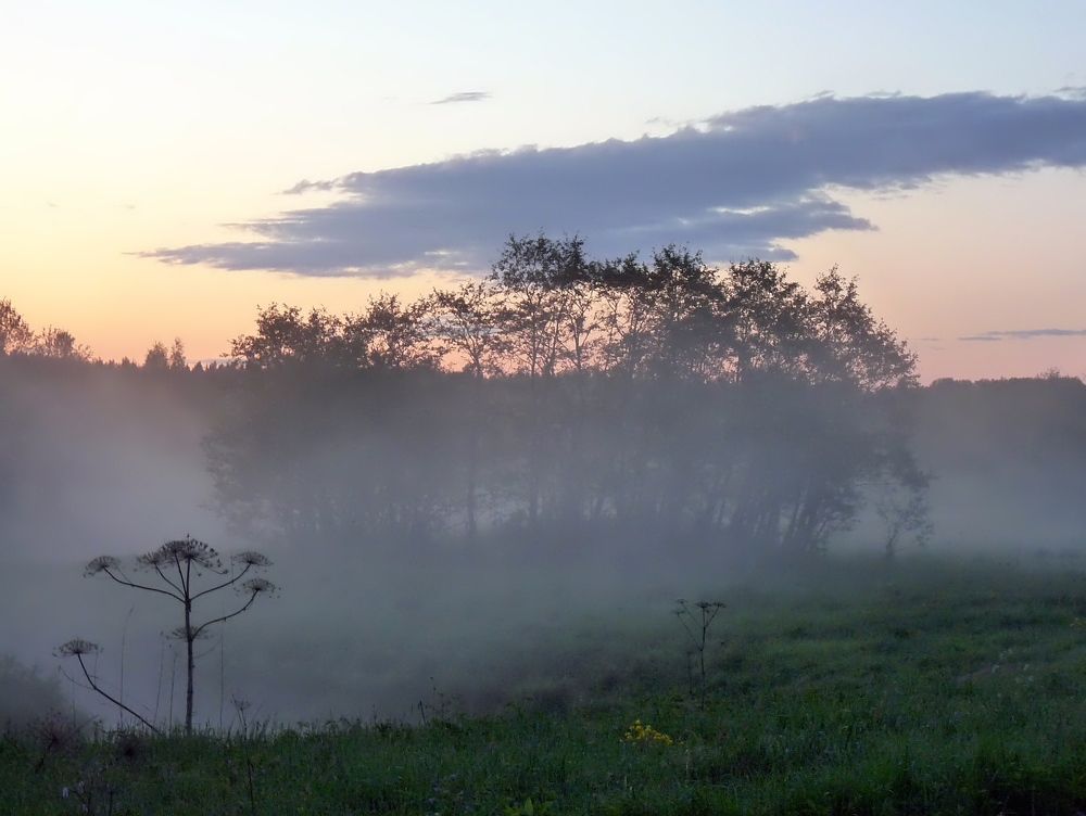 Photograph by Игорь Меньшенин