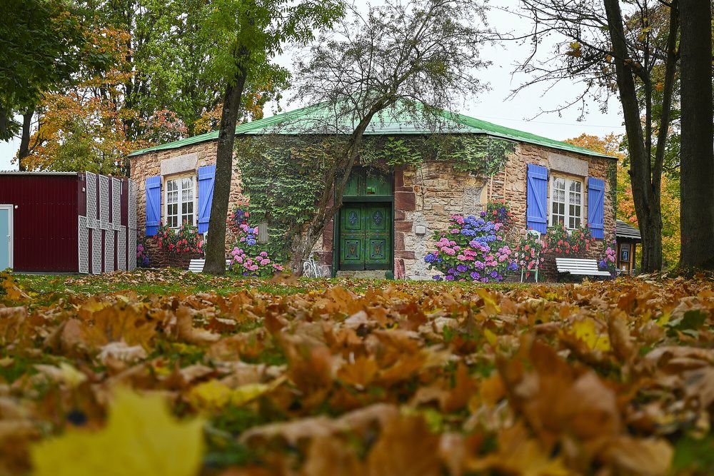 Photograph by Ирина