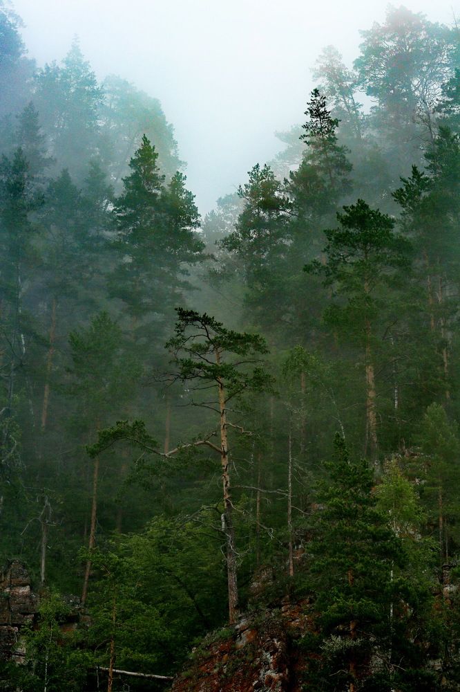 Photograph by Андрей Стародубцев