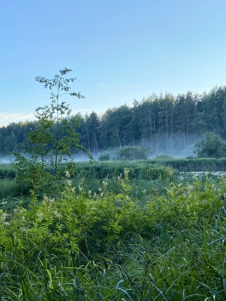 Photograph by Ирина Серегина