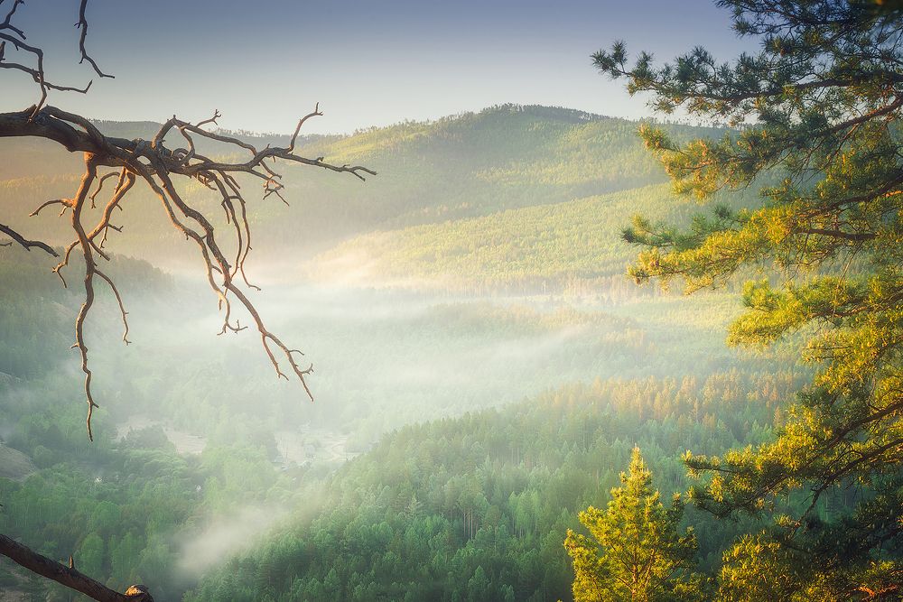 Photograph by Новокрещенов Станислав