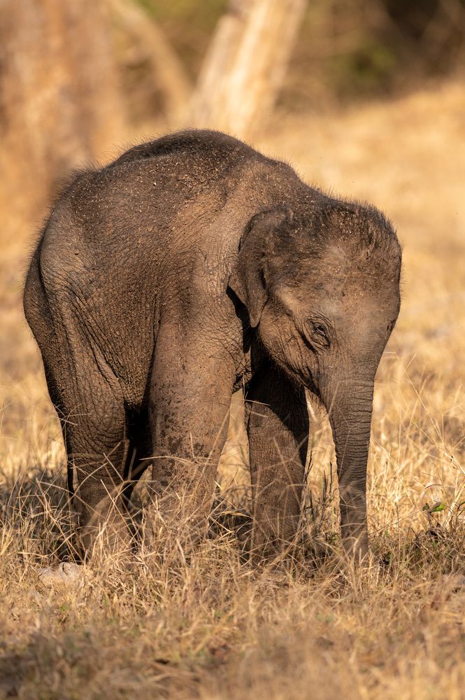 Photograph by Sai Ganesan M