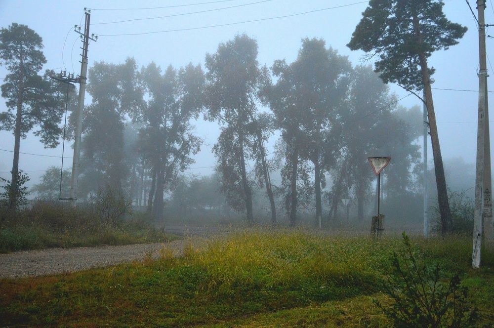 Фотография автора Анастасия Бондарь