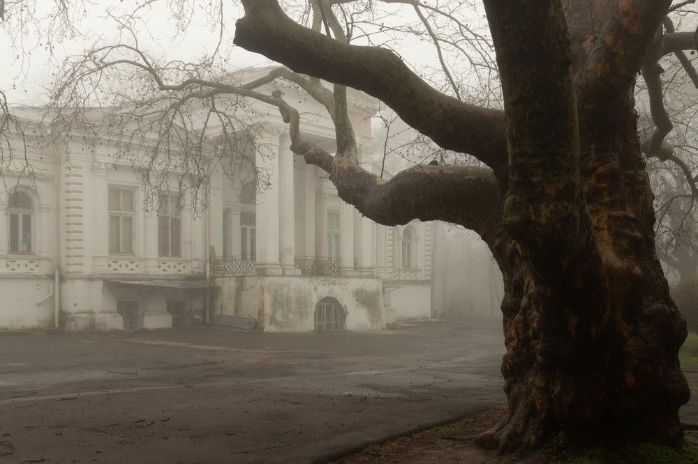 Photograph by Фаина Зеленая