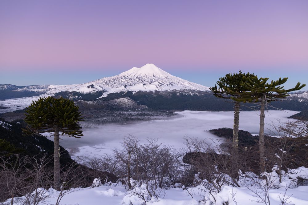 Photograph by Cristobal Muñoz