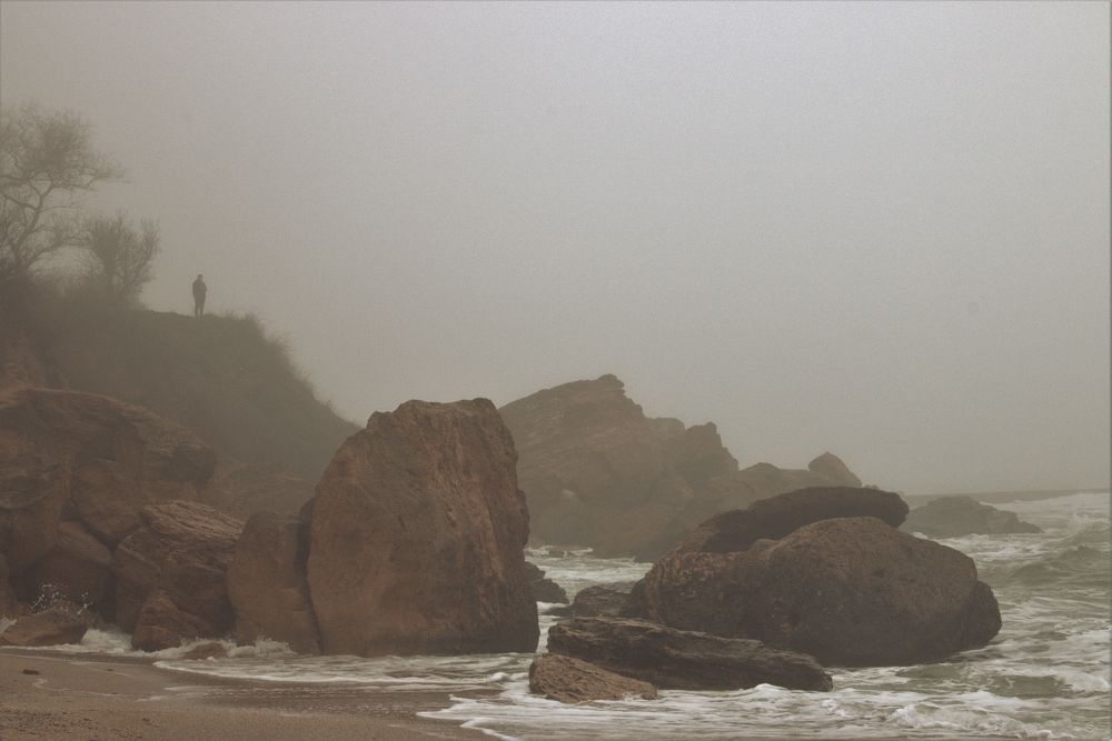 Photograph by Фаина Зеленая