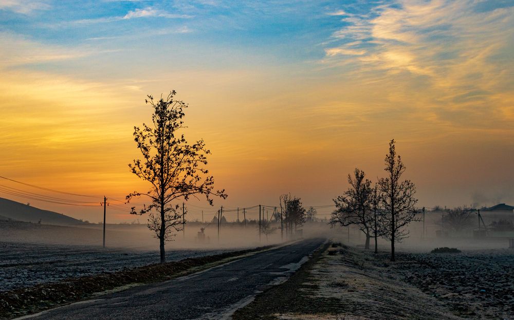 Photograph by Alex Kalpus