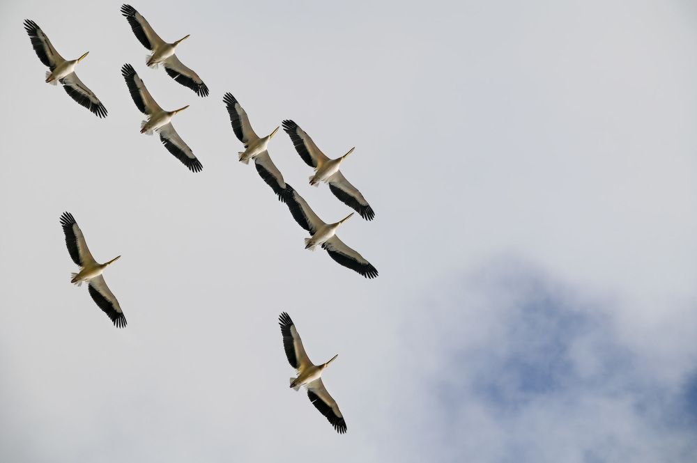 Photograph by Пирог Борис