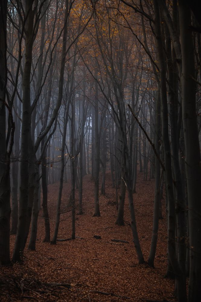 Фотография автора Tomas Kozel