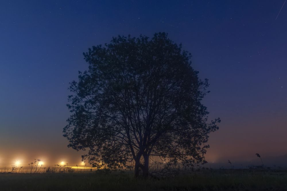 Photograph by Владимир Портуаров