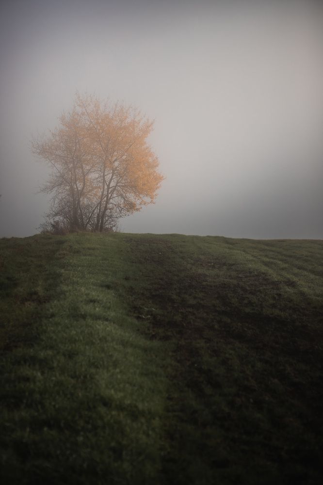 Фотография автора Tomas Kozel