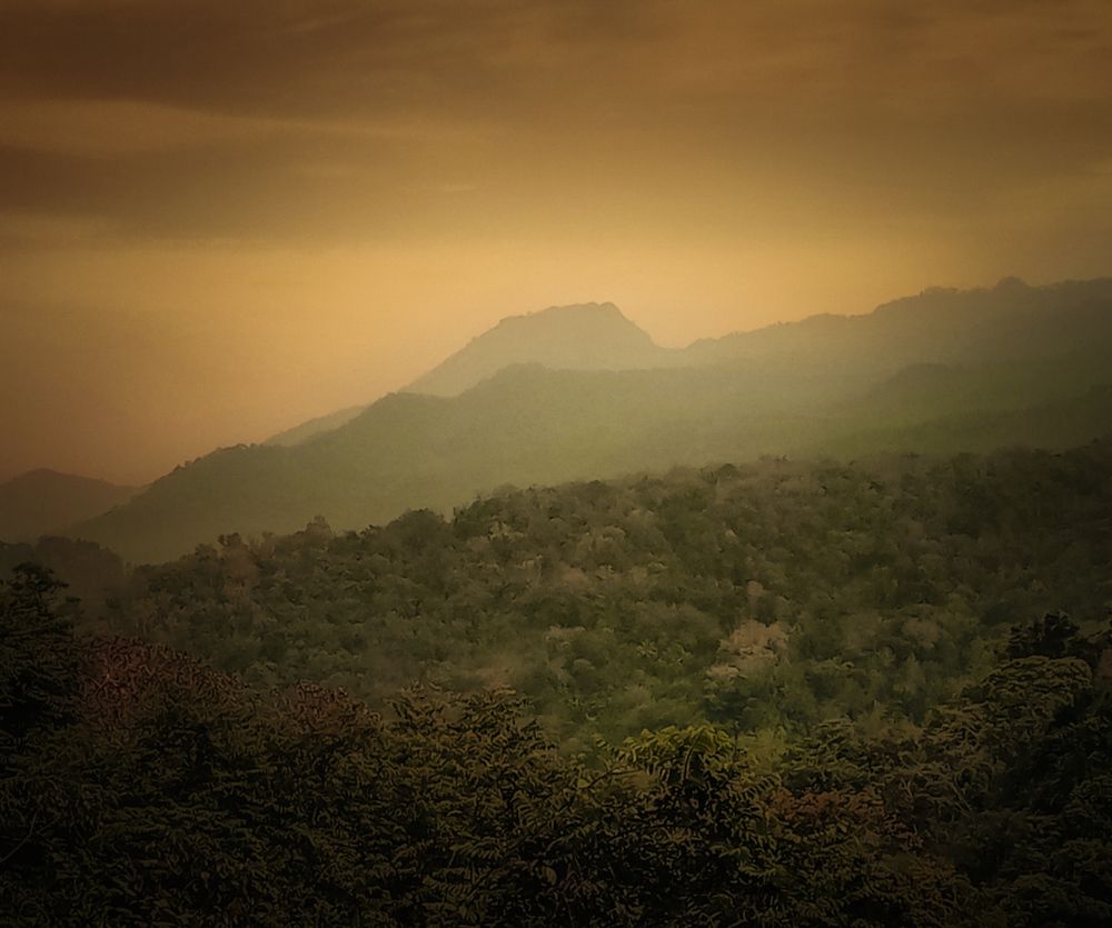 Photograph by Thimira dinisuru