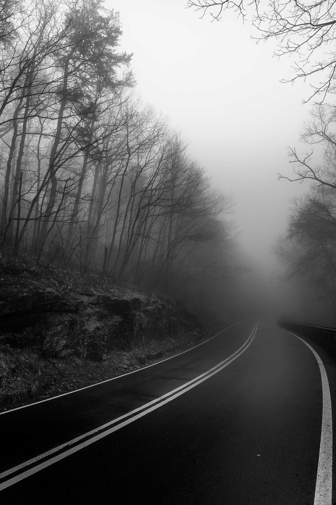 Photograph by Nicolas Bernal