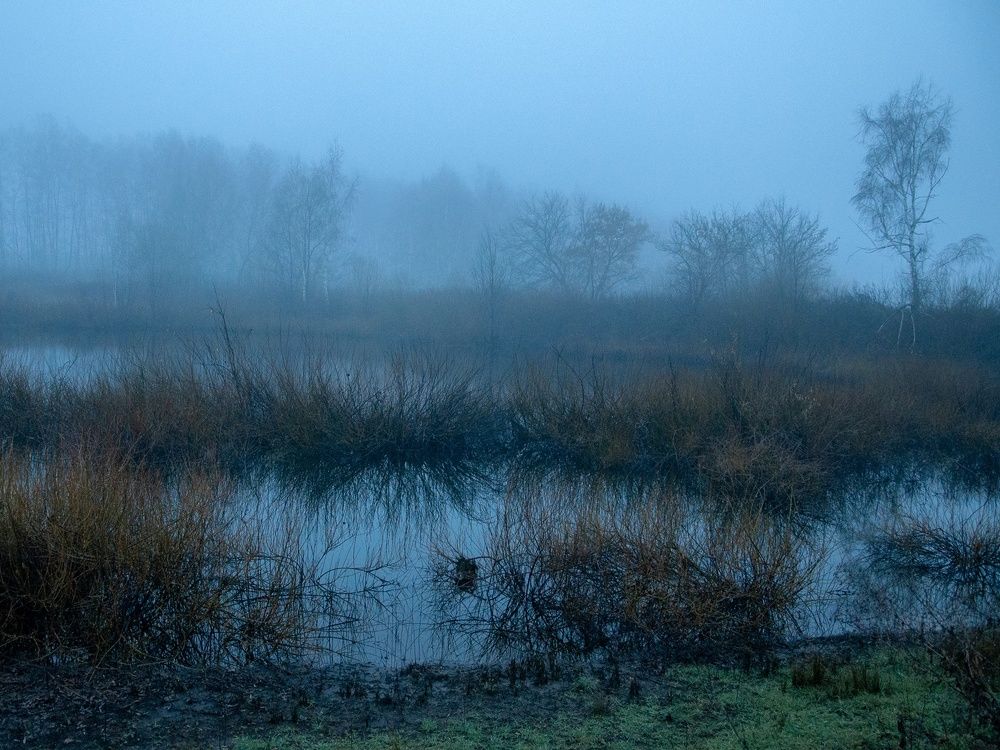 Photograph by Степанов Евгений