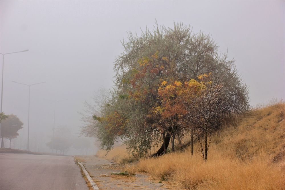 Photograph by alikan Evcil