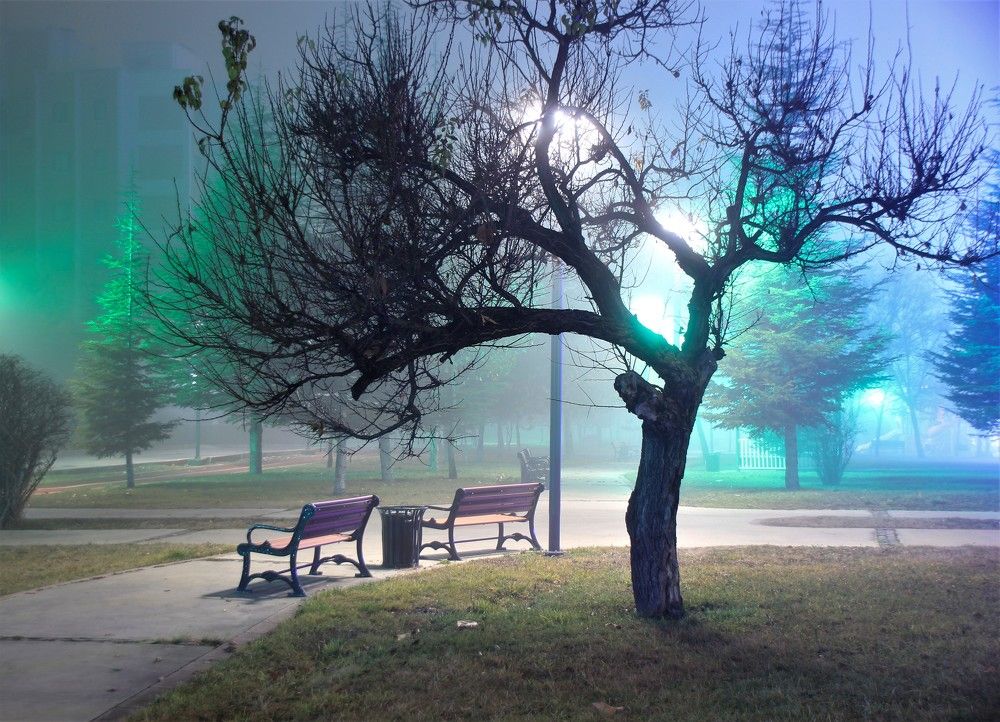 Photograph by alikan Evcil