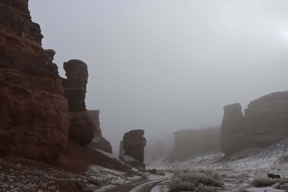 Photograph by Наталья Баранова