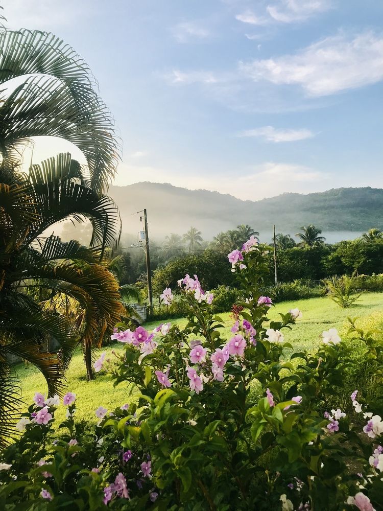 Photograph by Makeda Solomon