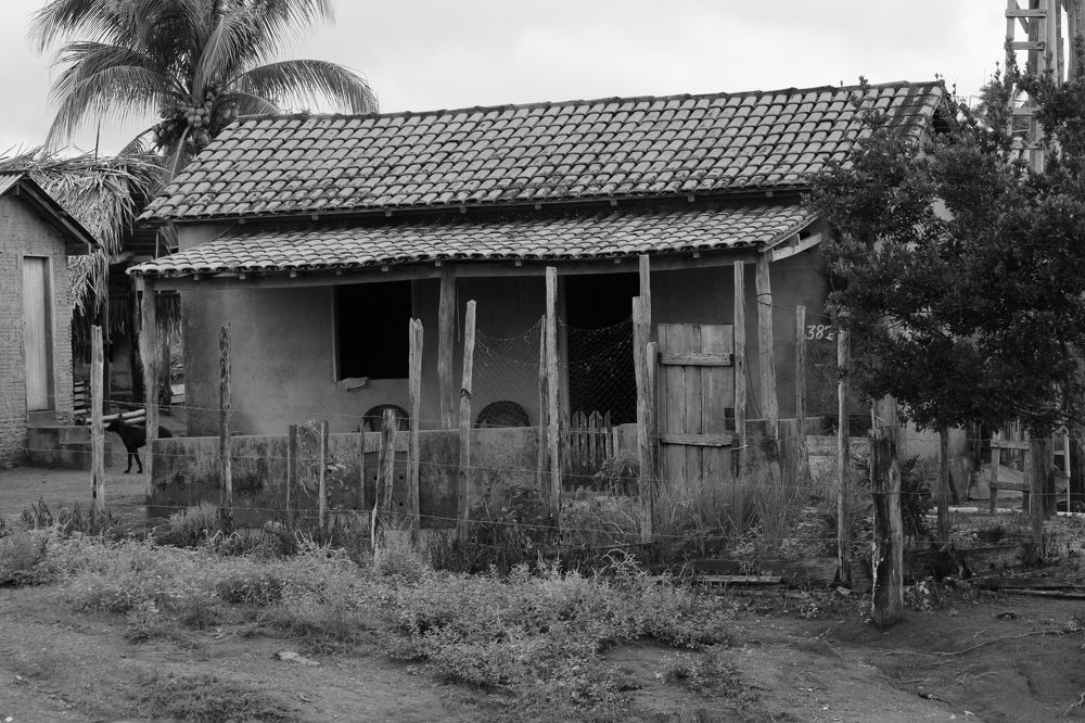 Photograph by Marcello França