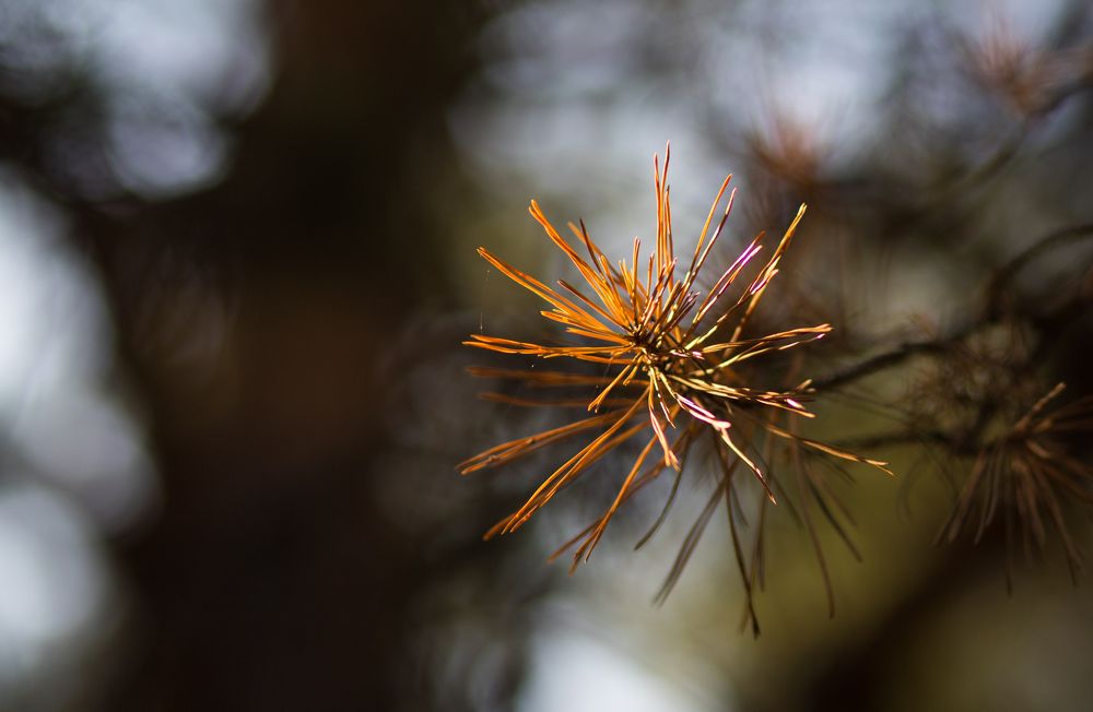 Photograph by Константин Искучеков