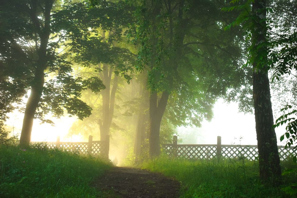 Photograph by Onyx X