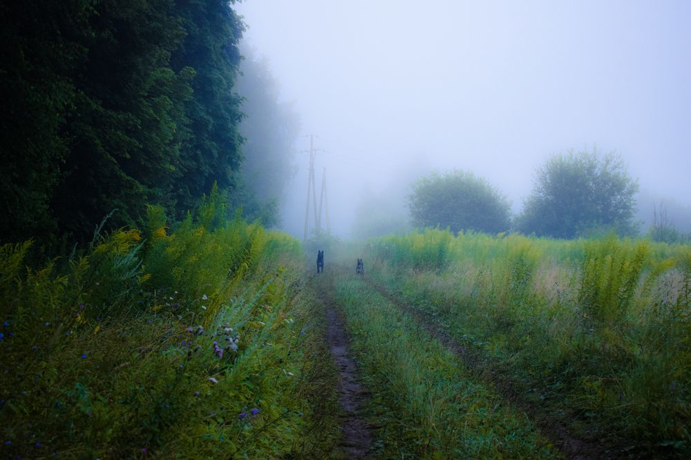 Photograph by Onyx X