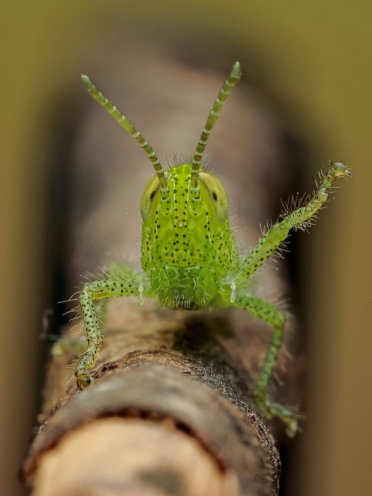 Photograph by Jacob Ng