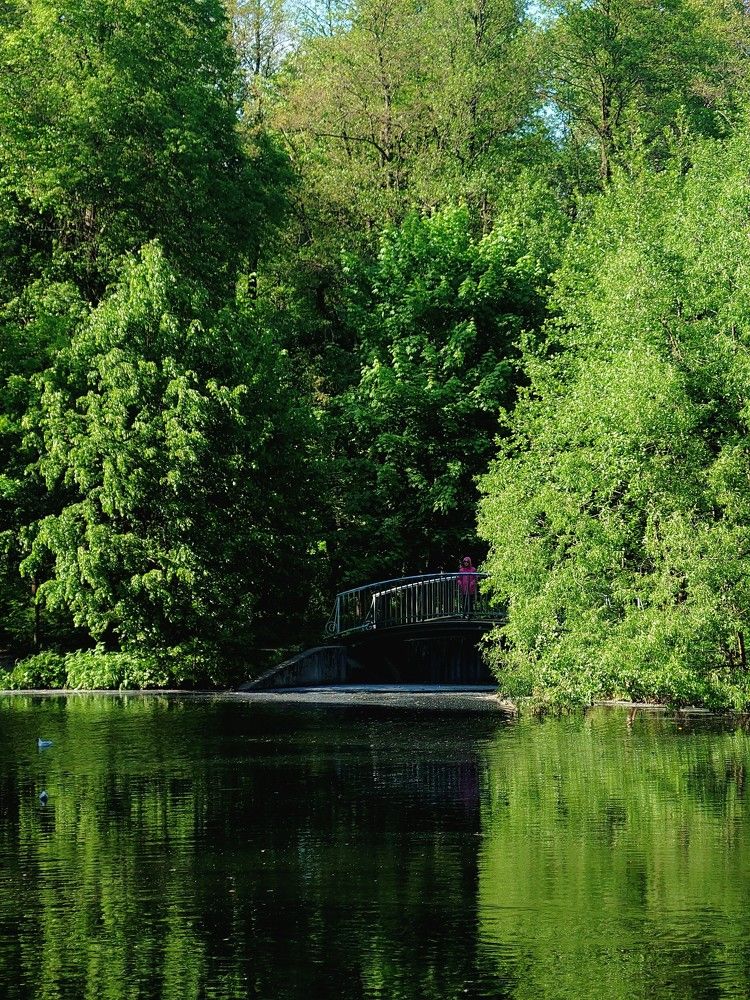 Photograph by Артем Порубаев