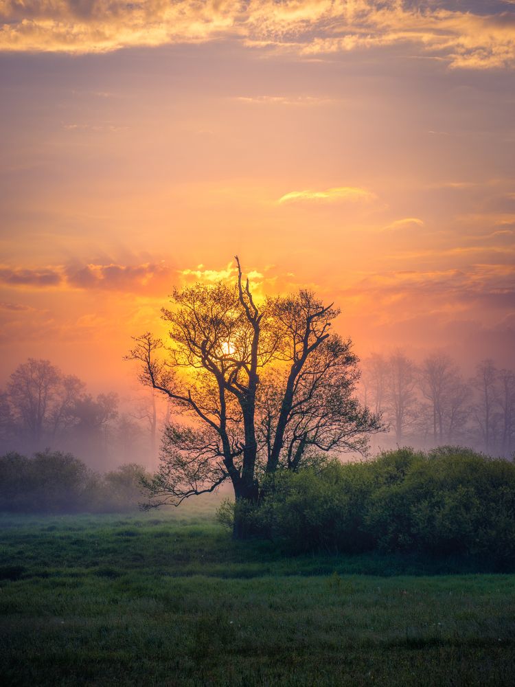 Photograph by Martin Dolinský