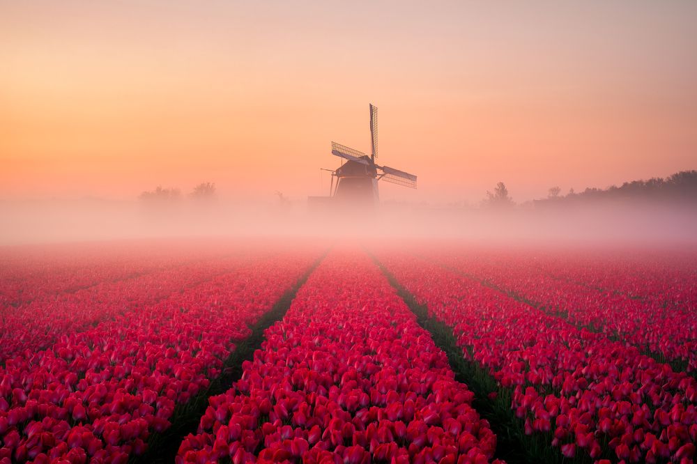 Photograph by Martin Dolinský