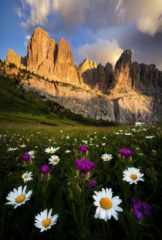 Photograph by Martin Dolinský