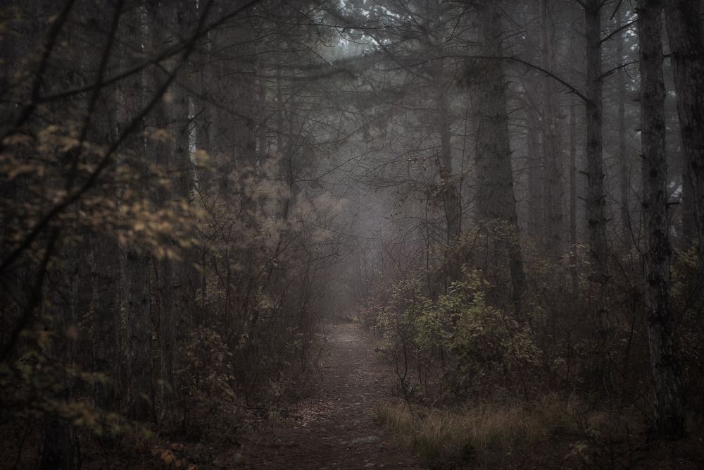 Photograph by Оксана Пономаренко