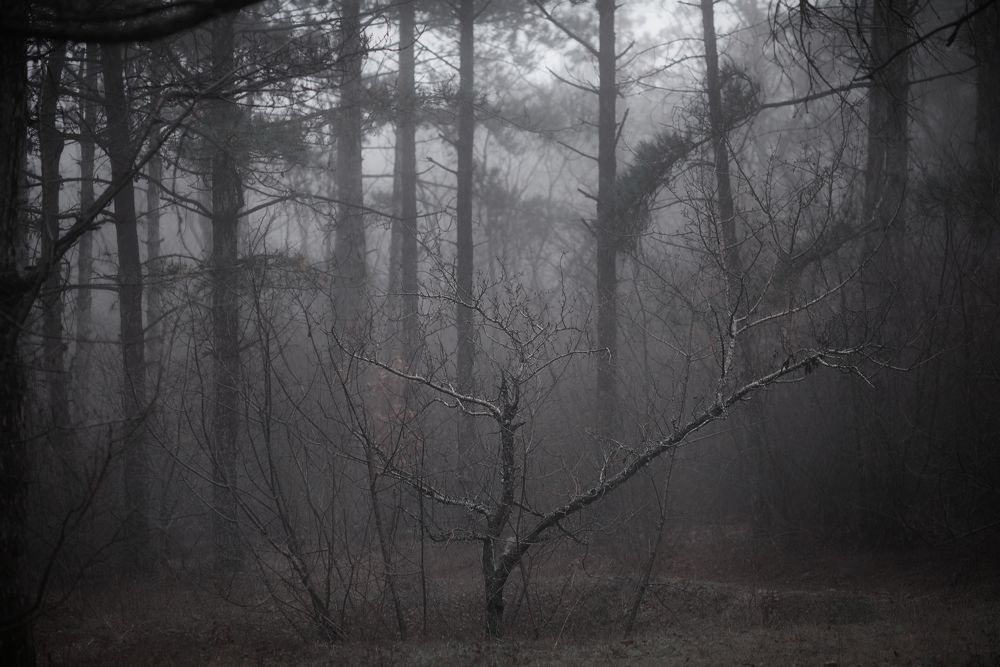 Photograph by Оксана Пономаренко